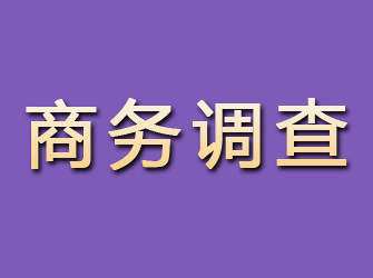 桂林商务调查